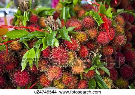 Malaysia, Rambutan View Large Photo Image Picture - Malaysia, Rambutan. Fotosearch