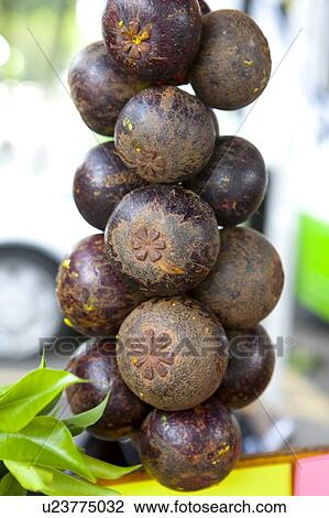 Stock Image - Malaysia. Fotosearch