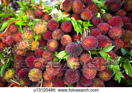 Stock Photography - Malaysia. Fotosearch