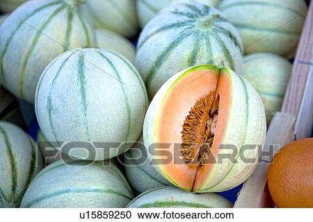 Muskmelon in the market of Nice, France View Large Photo Image Stock Image - Muskmelon in the market of Nice, France. Fotosearch