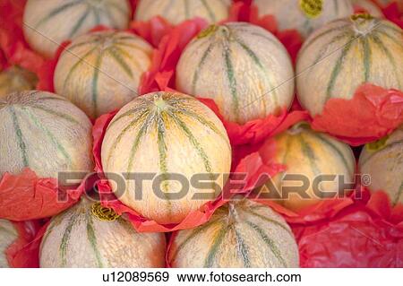 Stock Photo - Muskmelon in the market of Nice, France. Fotosearch