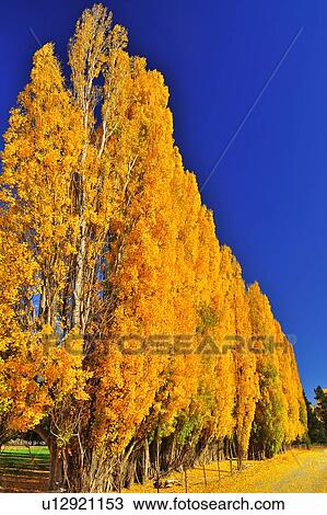 Stock Image - Omarama, South Island New Zealand. Fotosearch