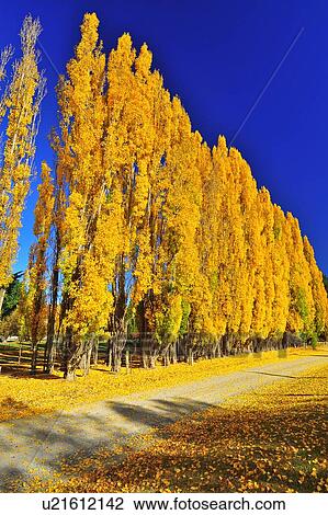 Stock Image - Omarama, South Island New Zealand. Fotosearch