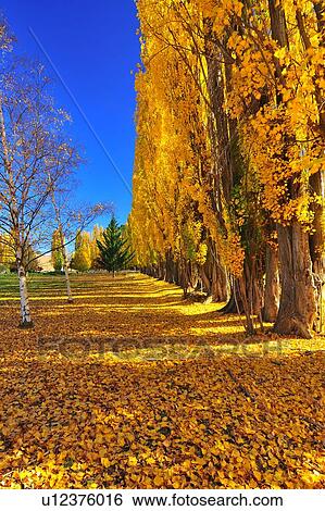 Stock Photograph - Omarama, South Island New Zealand. Fotosearch