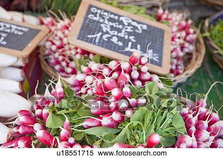 Radish in the market of Nice, France View Large Photo Image Stock Photography - Radish in the market of Nice, France. Fotosearch