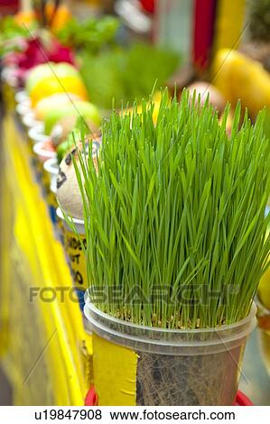 Singapore, a scene in the market View Large Photo Image Stock Photo - Singapore, a scene in the market. Fotosearch