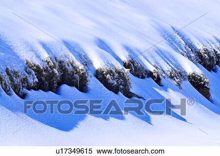 Stock Photography - Taiwan, Mt. Hehuan. Fotosearch