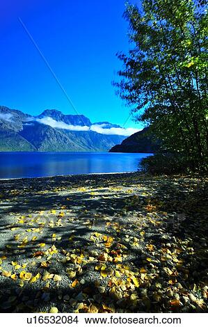 Te Anau, South Island New Zealand View Large Photo Image Picture - Te Anau, South Island New Zealand. Fotosearch