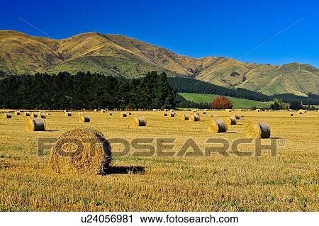 Stock Image - Te Anau, South Island New Zealand. Fotosearch