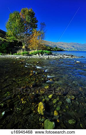 Stock Photo - Te Anau, South Island New Zealand. Fotosearch