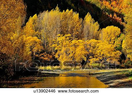 Te Anau, South Island New Zealand View Large Photo Image Stock Photograph - Te Anau, South Island New Zealand. Fotosearch