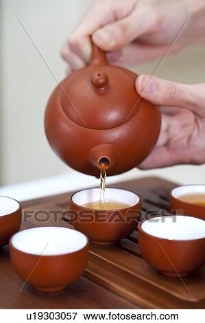 Tea, Human hands holding a teapot and pouring tea into tea cups View Large Photo Image Stock Photo - Tea, Human hands holding a teapot and pouring tea into tea cups. Fotosearch