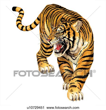 Stock Image - Tiger, Chinese Painting and Illsutration. Fotosearch