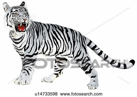 Tiger, Chinese Painting View Large Photo Image Stock Photo - Tiger, Chinese Painting. Fotosearch
