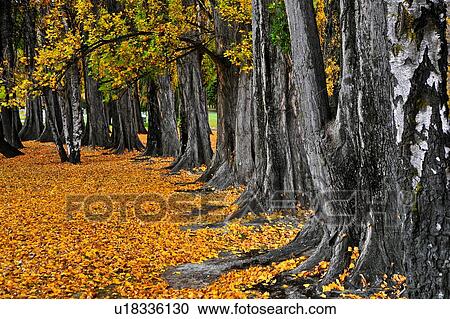 Stock Image - Wanaka, South Island New Zealand. Fotosearch
