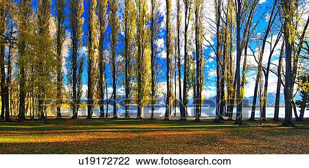 Stock Image - Wanaka, South Island New Zealand. Fotosearch