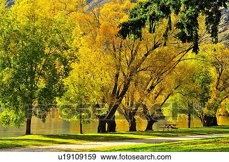 Wanaka, South Island New Zealand View Large Photo Image Stock Photo - Wanaka, South Island New Zealand. Fotosearch