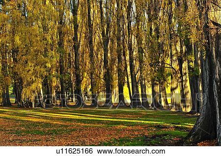 Stock Photograph - Wanaka, South Island New Zealand. Fotosearch