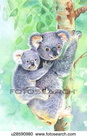 Stock Image - Watercolor painting of two koalas. Fotosearch