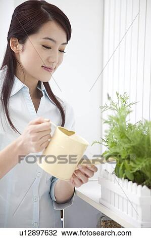 Woman holding watering can watering green plant View Large Photo Image Stock Image - Woman holding watering can watering green plant. Fotosearch