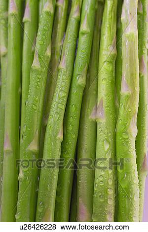 Asparagus with water drops, close up, full frame View Large Photo Image Stock Photo - Asparagus with water drops, close up, full frame. Fotosearch