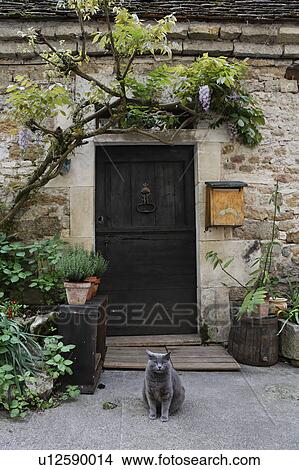 Black Cat Sitting at Door, France View Large Photo Image Picture - Black Cat Sitting at Door, France. Fotosearch