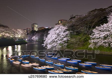 Stock Image - Boats in moat lined with cherry blossom trees. Fotosearch