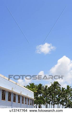 Picture - Building and palm trees. Fotosearch