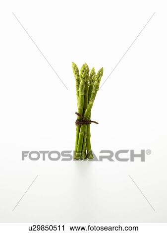 Bunch of Asparagus View Large Photo Image Stock Image - Bunch of Asparagus. Fotosearch