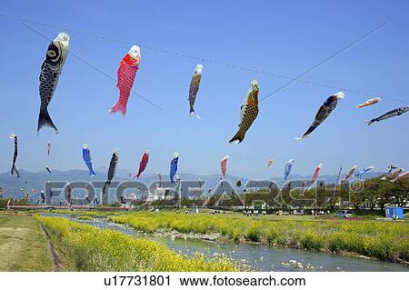 Stock Image - Carp streamers blowing in wind. Fotosearch