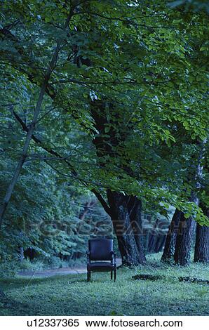 Stock Photography - Chair under trees. Fotosearch