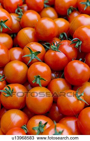 Stock Image - Cherry tomatoes, close up, full frame. Fotosearch