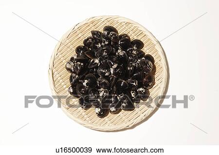 Stock Photo - Clams on colander, white background. Fotosearch