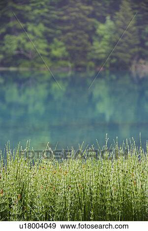 Stock Photo - Close Up of Lake Onneto,. Fotosearch