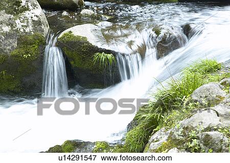 Close Up of Mountain Stream View Large Photo Image Stock Photo - Close Up of Mountain Stream. Fotosearch