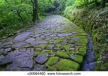 Cobblestone footpath in Ochiai View Large Photo Image Stock Image - Cobblestone footpath in Ochiai. Fotosearch