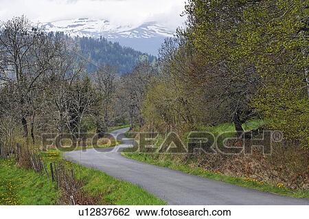 Country Road and Mountain in the Background, La region d'Auvergne, France View Large Photo Image Stock Image - Country Road and Mountain in the Background, La region d'Auvergne, France. Fotosearch