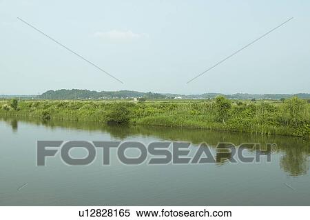 Countryside with Lake View Large Photo Image Stock Photography - Countryside with Lake. Fotosearch