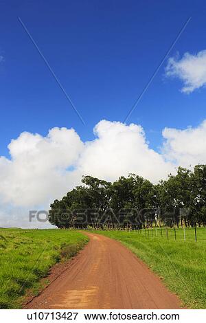 Dirt road in a field View Large Photo Image Stock Photo - Dirt road in a field. Fotosearch