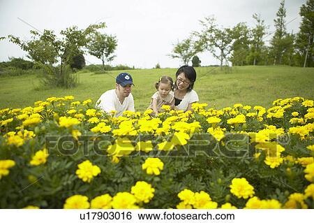 Stock Photograph - Family looking at flowers. Fotosearch