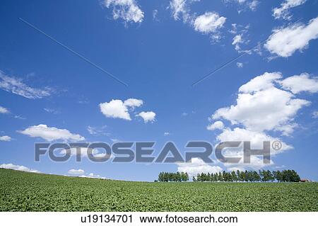 Farm land and trees View Large Photo Image Stock Image - Farm land and trees. Fotosearch