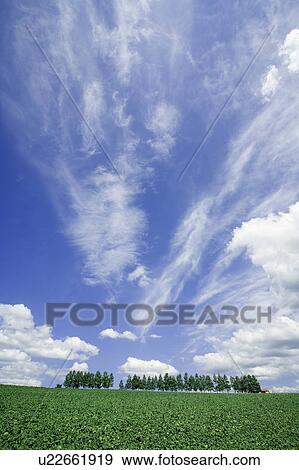 Stock Photo - Farm land and trees. Fotosearch