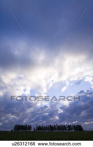 Stock Photo - Farm land and trees. Fotosearch