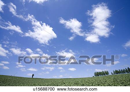 Stock Image - Farm land. Fotosearch