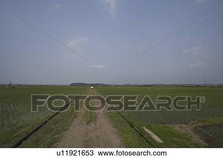 Stock Image - Farm Road in Rice Field. Fotosearch