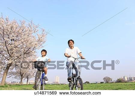 Stock Photo - Father and son riding bicycles. Fotosearch