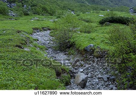 Stock Image - Field in rain. Fotosearch