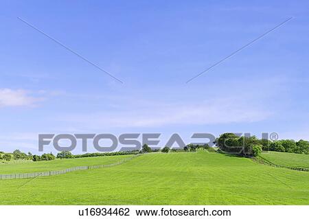Field, trees and sky View Large Photo Image Stock Image - Field, trees and sky. Fotosearch