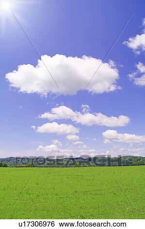 Stock Photograph - Field, trees and sky. Fotosearch