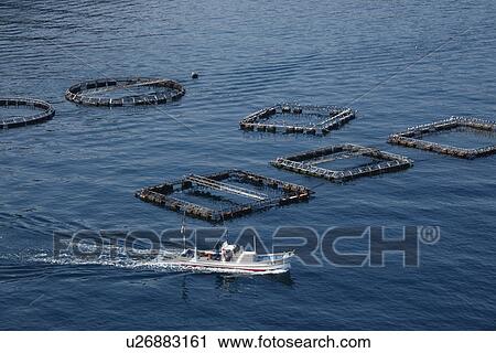 Fish farm and nautical vessel View Large Photo Image Stock Image - Fish farm and nautical vessel. Fotosearch
